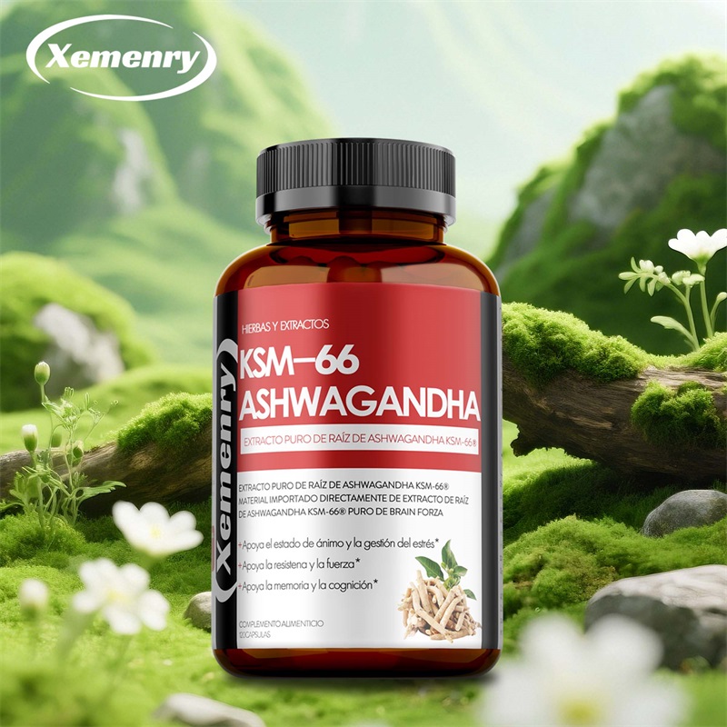 Ashwagandha Extract Root - كبسولات مستخلص جذور أشواغاندا KSM 66