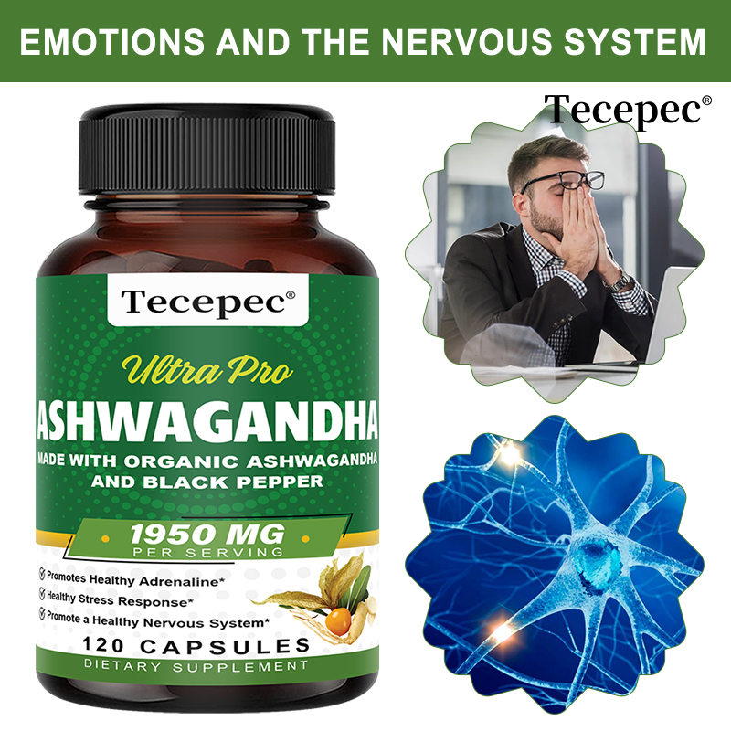 Ashwagandha Extract Root - كبسولات مستخلص جذور الأشواغاندا العضوية 1950