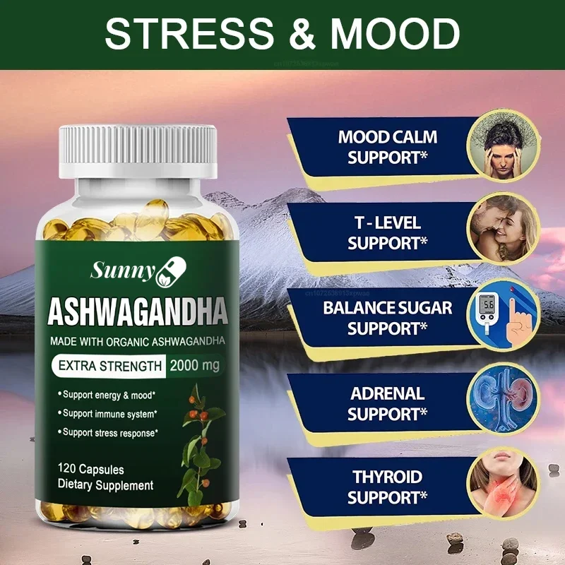كبسولات مستخلص الأشواغاندا مضا - مراجعة Ashwagandha Extract Root وسعره
