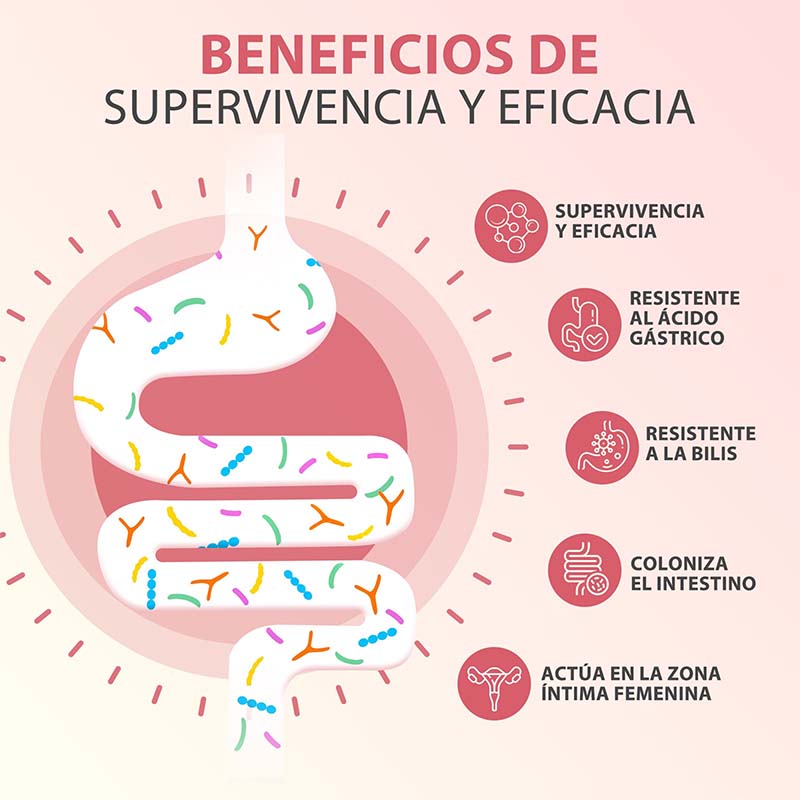 كبسولات PROBIOTICOS MUJER - تد - مراجعة Probiotics Women Health وسعره