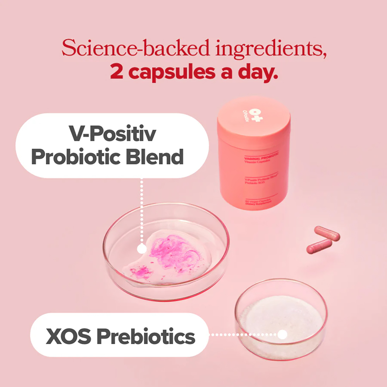 بروبيوتيك للنساء من فاجيانل لت - مراجعة Probiotics Women Health وسعره