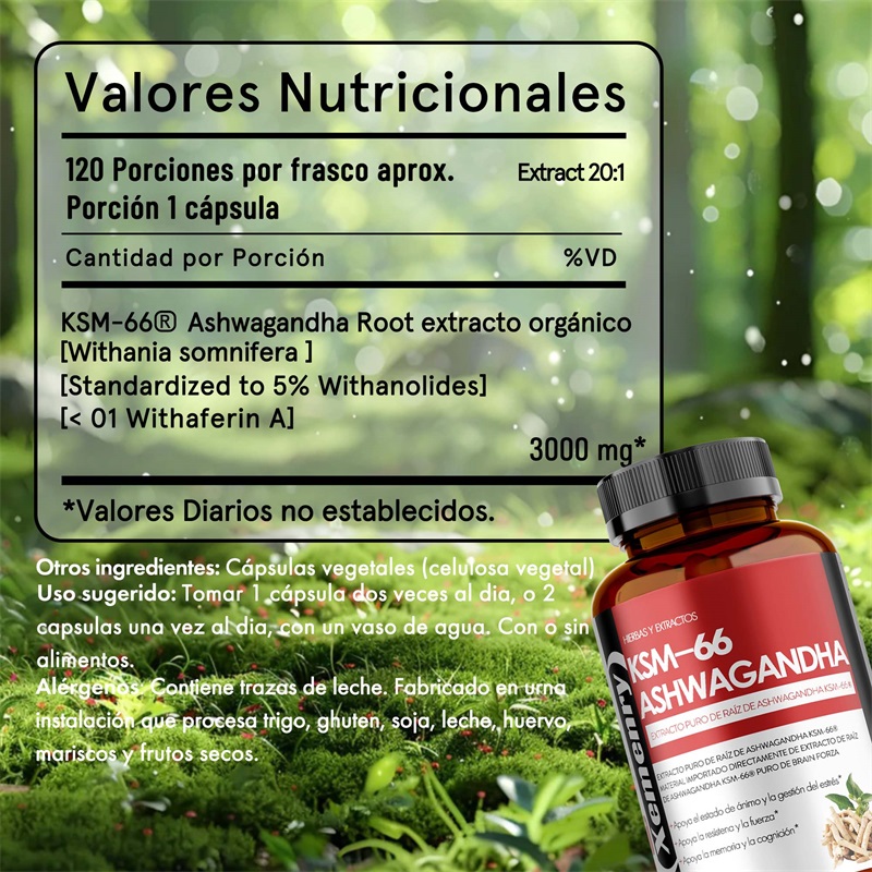 كبسولات مستخلص جذور أشواغاندا  - مراجعة Ashwagandha Extract Root وسعره