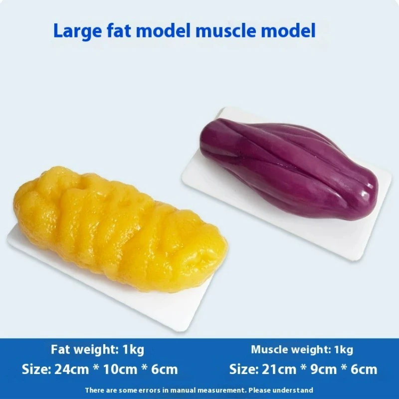 نماذج مقلدة للعضلات والدهون ال - مراجعة Nutrition In Fitness وسعره